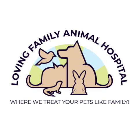 Best Vet In Aurora CO Loving Family Animal Hospital   1247224 Loving Family Animal Hospital Final 121621 480x480 