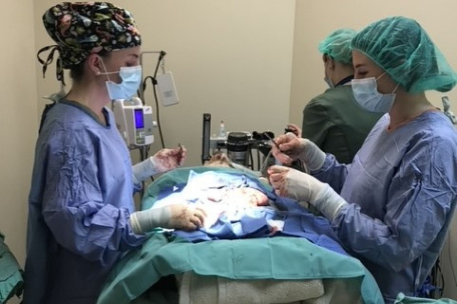 surgery being done on pet