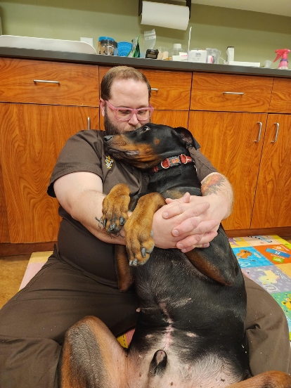 loving-vet-1