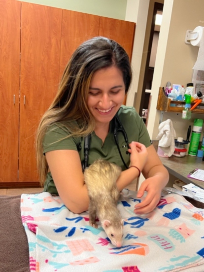 Vet holding a ferret