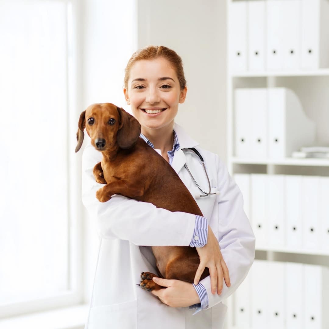 Urgent Pet Care