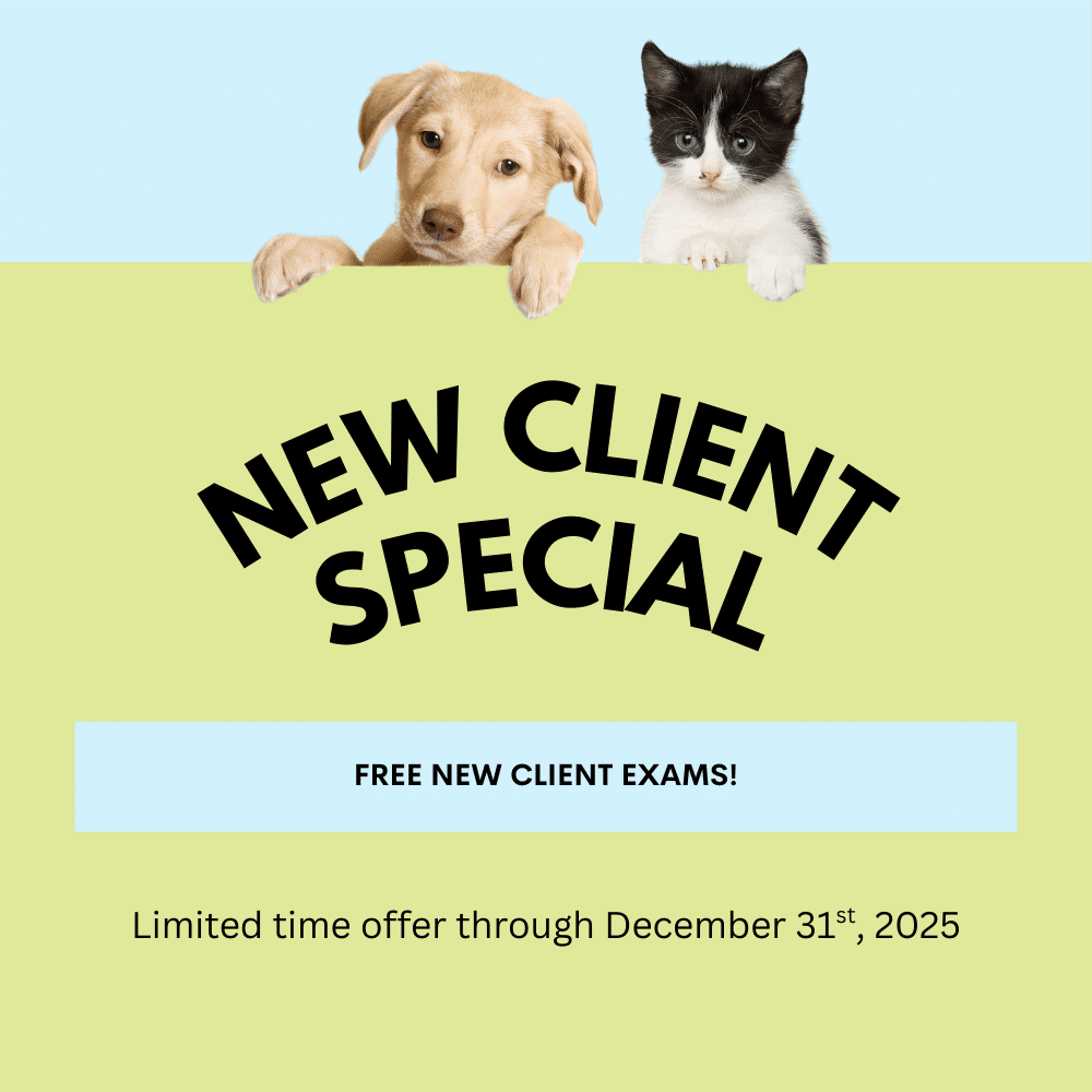 Loving Family Animal Hospital Referral Program