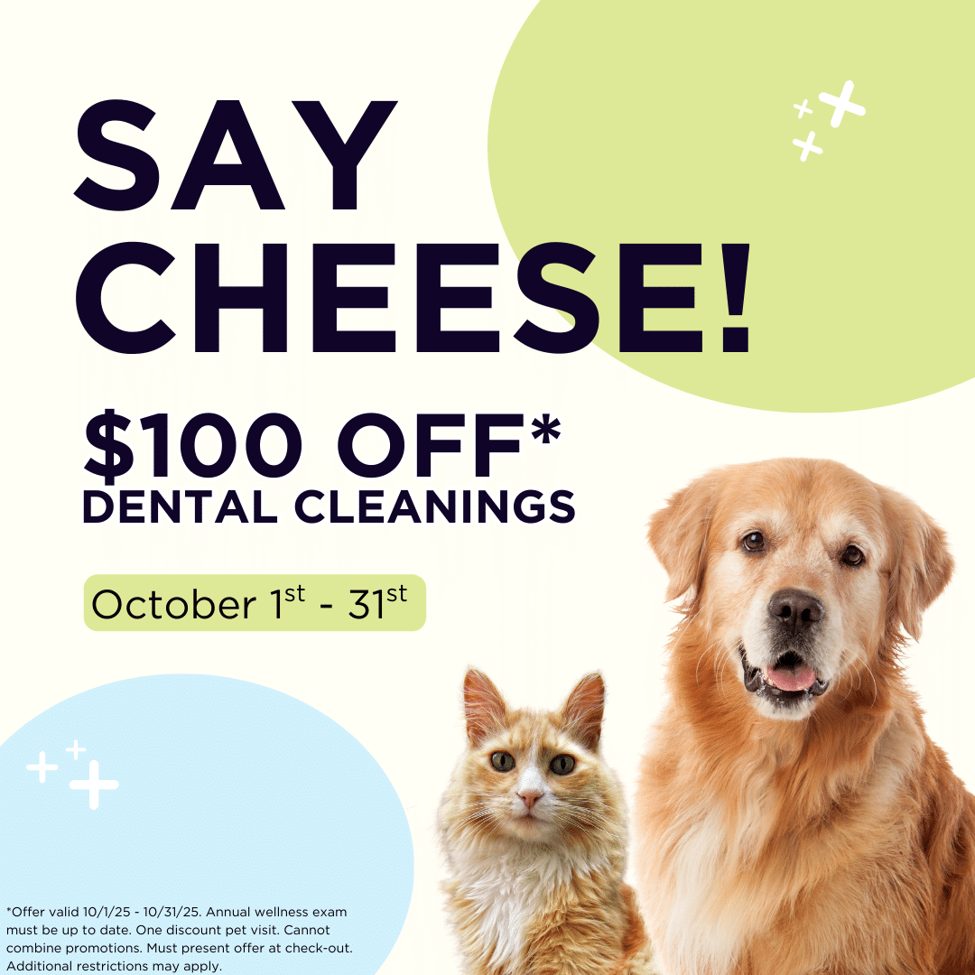Loving Family Animal Hospital Referral Program